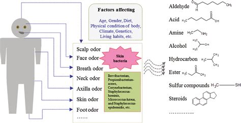 aldehyde smell